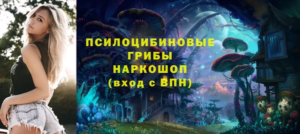 хмурый Нефтекумск