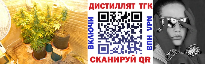 Дистиллят ТГК гашишное масло  Ярославль 